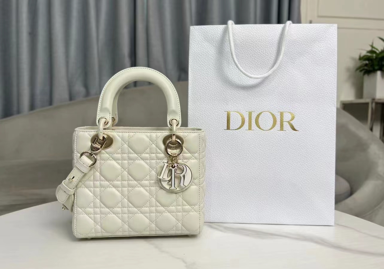 Dior bag size 20 CM  DB406